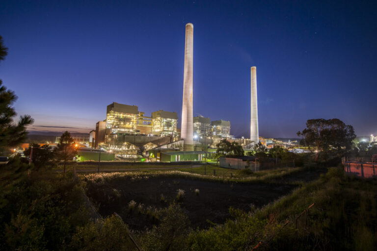 Photography Portfolio, Portfolio, Firebug Photography